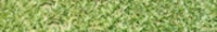 Lawn Care - Youngstown, Canfield, Boardman, Howland , Northeast Ohio